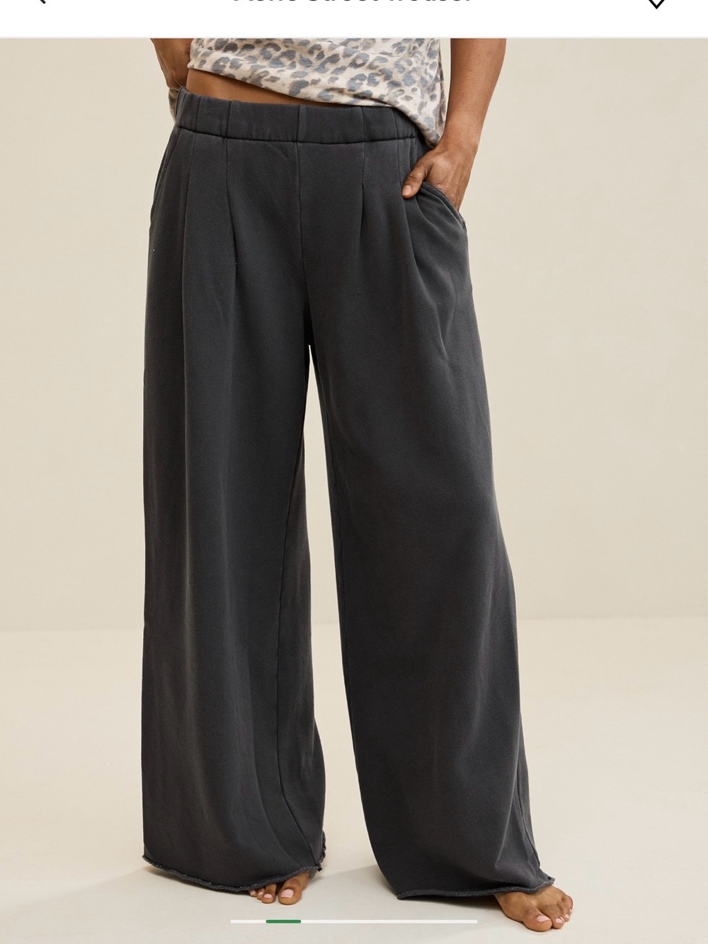 Aerie Street Trouser